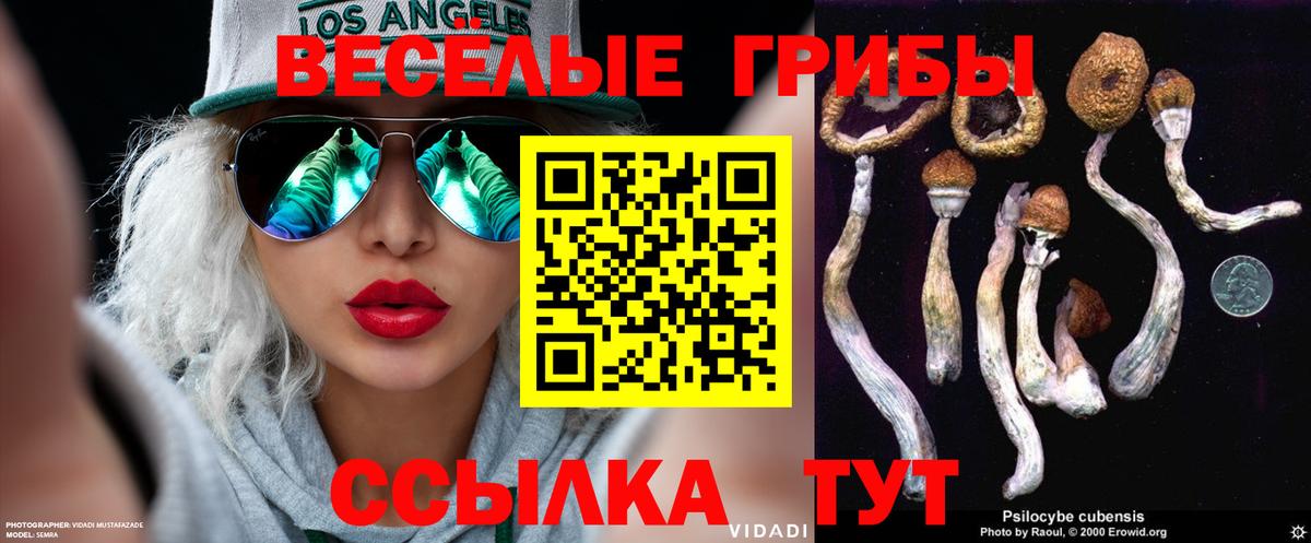 Псилоцибиновые грибы ЛСД Узловая